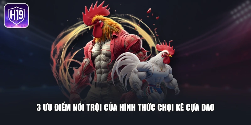 3 ưu điểm nổi trội của hình thức chọi kê cựa dao