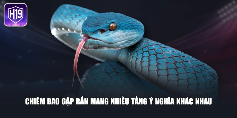 Chiêm bao gặp rắn mang nhiều tầng ý nghĩa khác nhau
