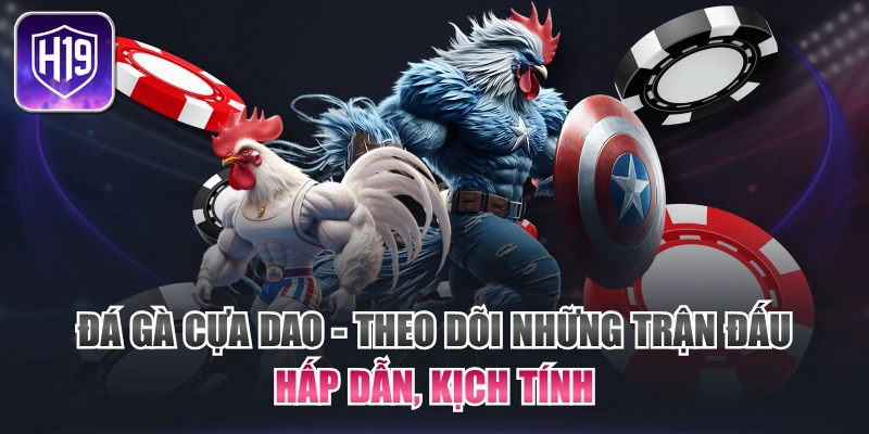 Đá Gà Cựa Dao - Theo Dõi Những Trận Đấu Hấp Dẫn, Kịch Tính
