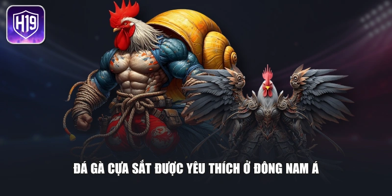 Đá gà cựa sắt được yêu thích ở Đông Nam Á