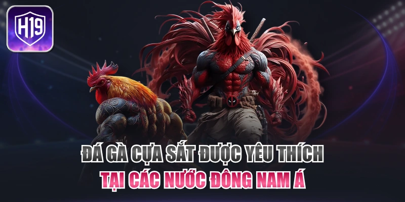 Đá Gà Cựa Sắt Được Yêu Thích Tại Các Nước Đông Nam Á