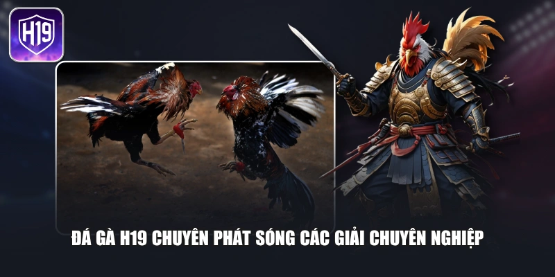 Đá gà H19 chuyên phát sóng các giải chuyên nghiệp