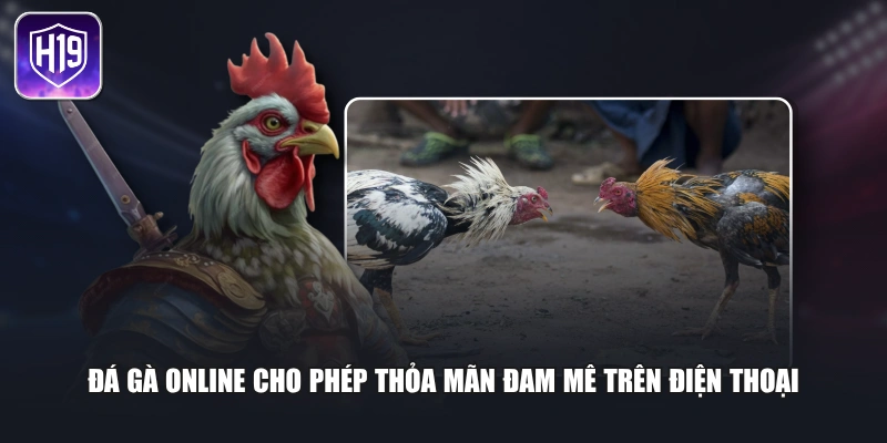 Đá gà online cho phép thỏa mãn đam mê trên điện thoại