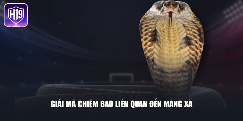 Giải mã chiêm bao liên quan đến mãng xà