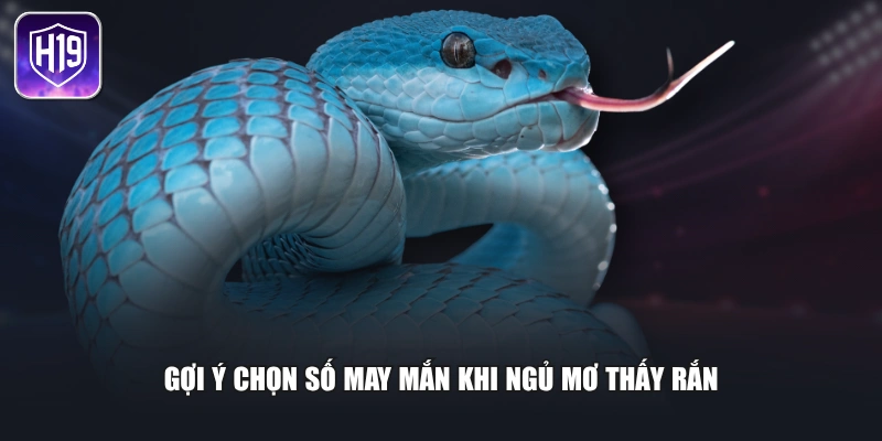 Gợi ý chọn số may mắn khi ngủ mơ thấy rắn