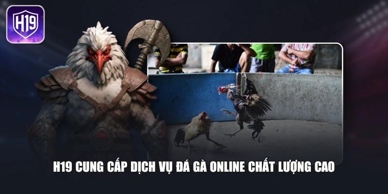 H19 cung cấp dịch vụ đá gà online chất lượng cao