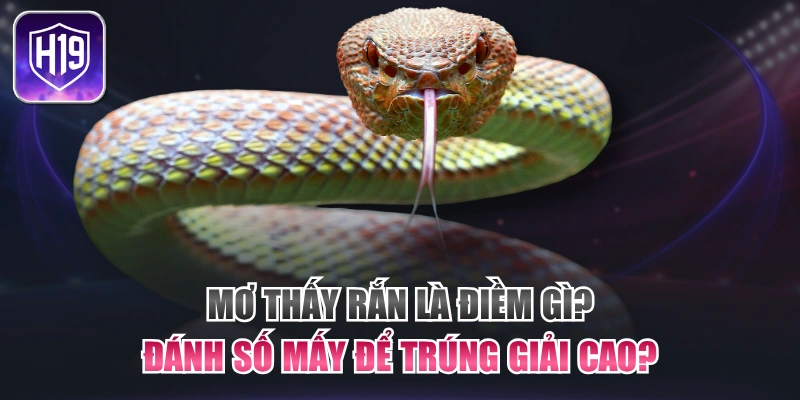 Mơ Thấy Rắn Là Điềm Gì? Đánh Số Mấy Để Trúng Giải Cao?
