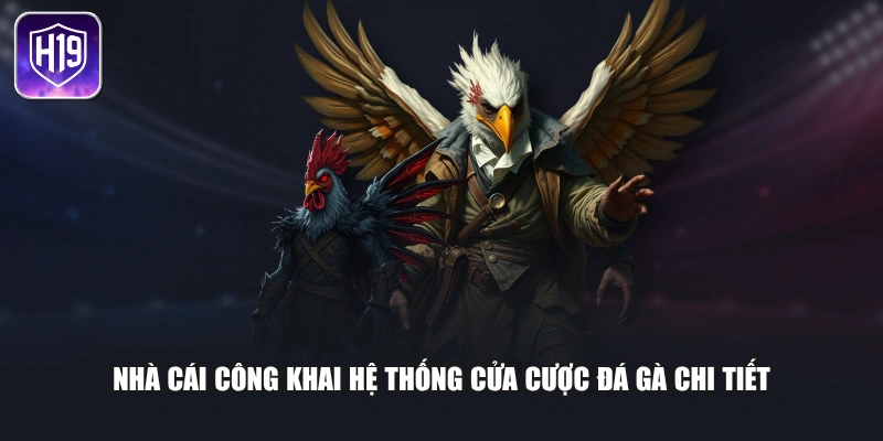 Nhà cái công khai hệ thống cửa cược đá gà chi tiết