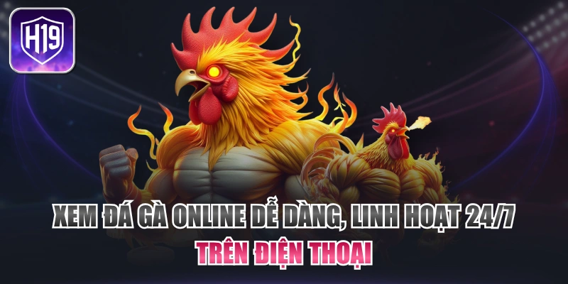 Xem Đá Gà Online Dễ Dàng, Linh Hoạt 24/7 Trên Điện Thoại